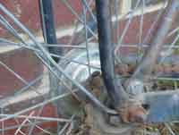 Rear wheel Eadie coaster brake