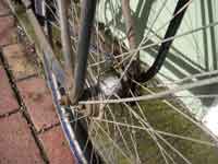 Rear wheel with Eadie coaster brake